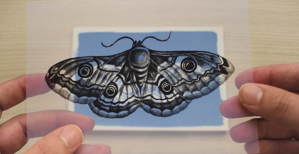 moths cyanotype stencils