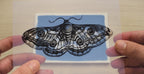 moths cyanotype stencils