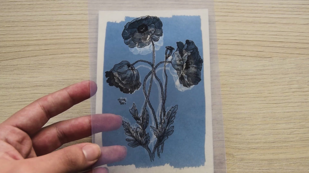 poppy cyanotype stencil for cyanotype