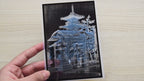 cyanotype negatives