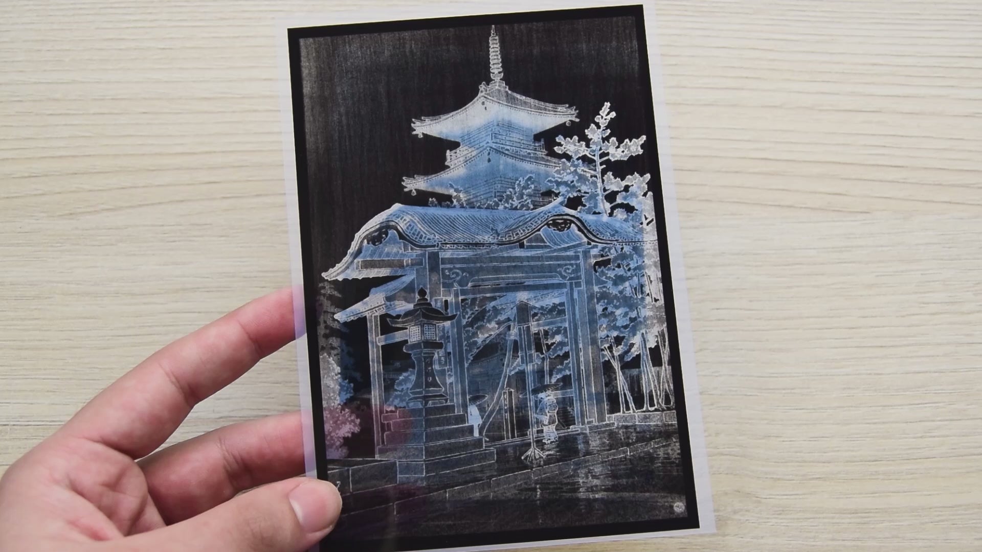 cyanotype negatives