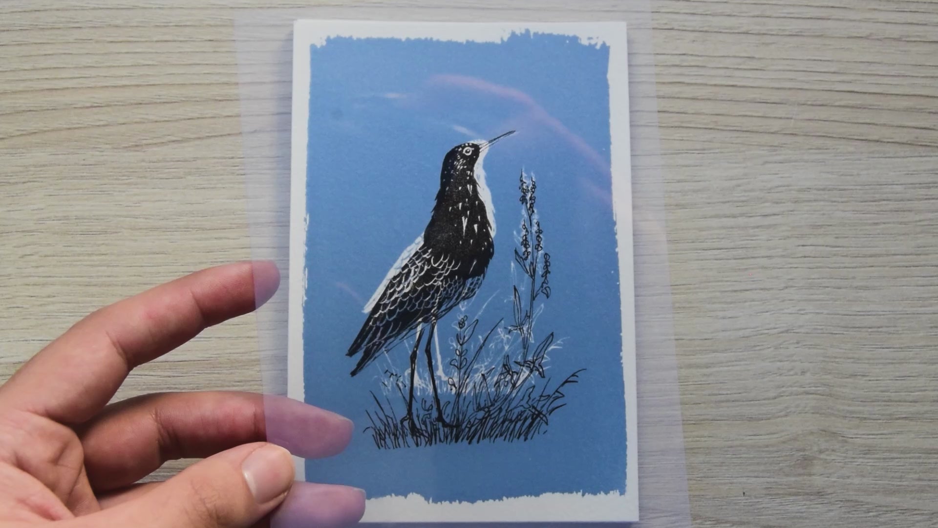 birds cyanotype stencils