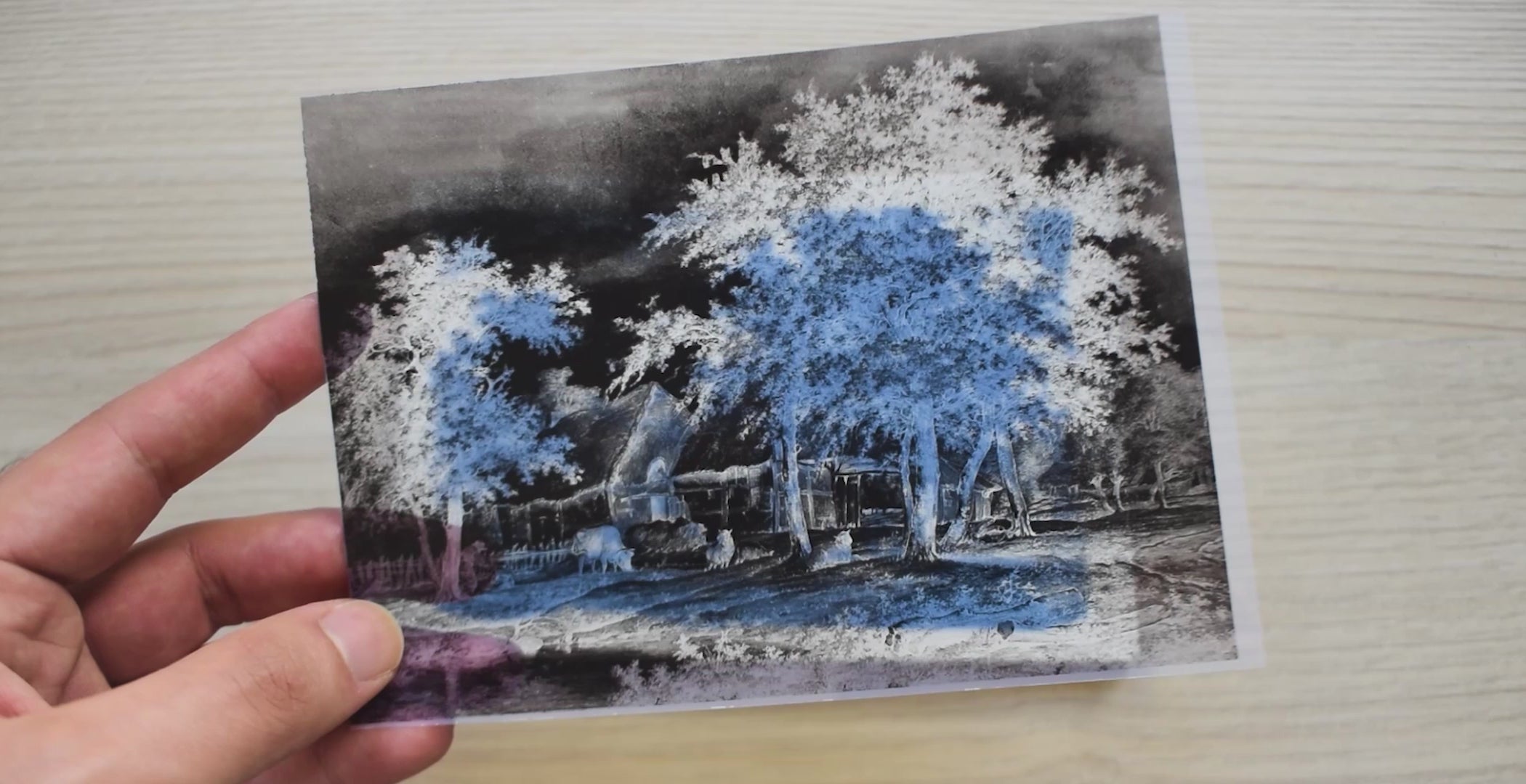 landscapes cyanotype stencils