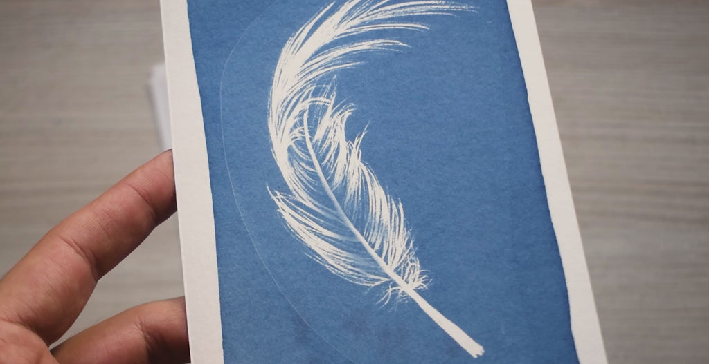 Feathers Cyanotype Stencils