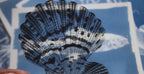 sea animals cyanotype stencils for solar printing