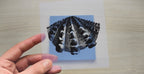 Nautilus and Shells Cyanotype print