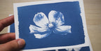 pressed flowers cyanotype stencils