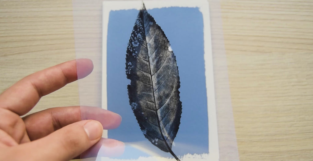 Pressed Leaf Cyanotype stencils