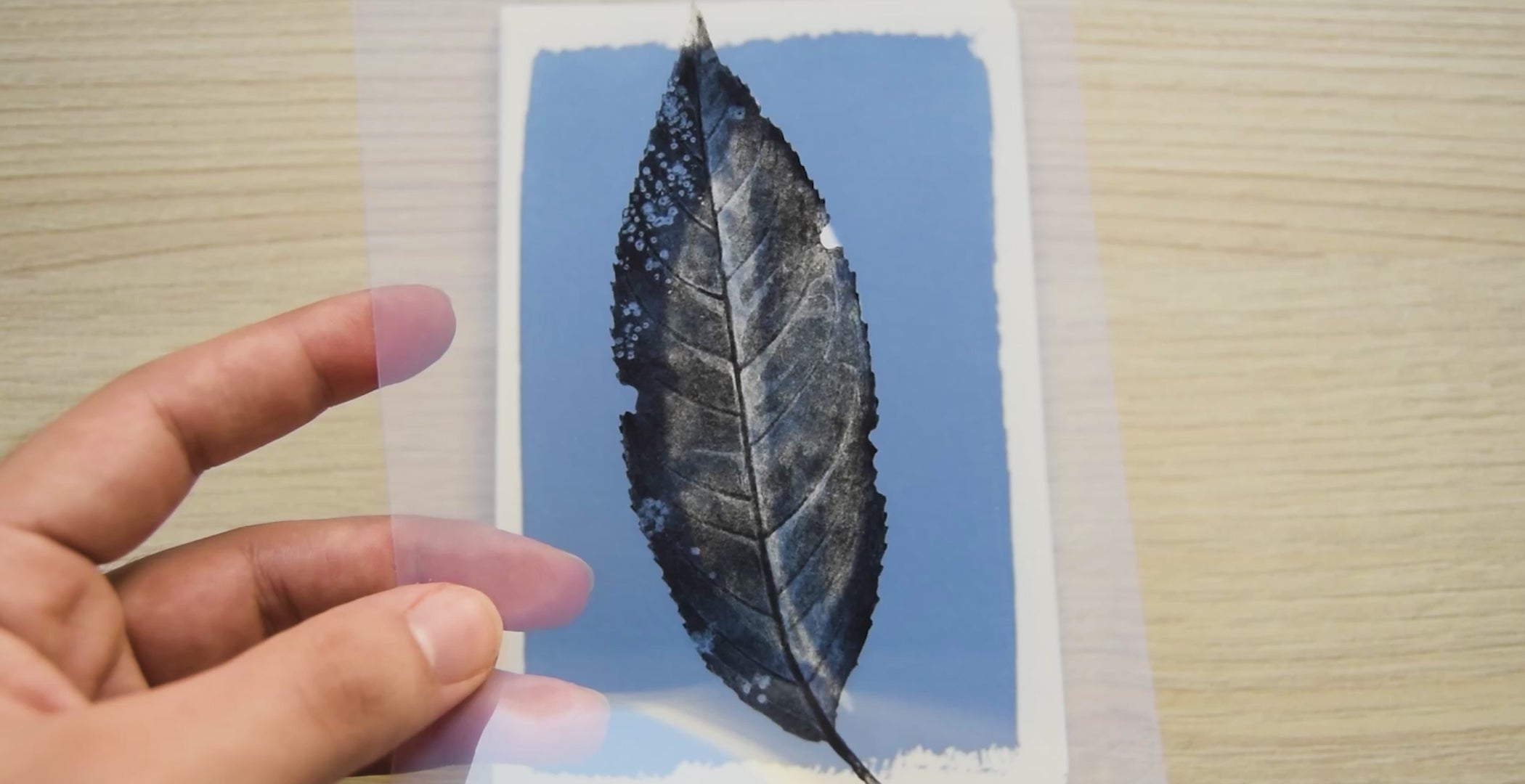 Pressed Leaf Cyanotype stencils