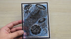 cyanotype stencils of Ernst Haeckel paintings