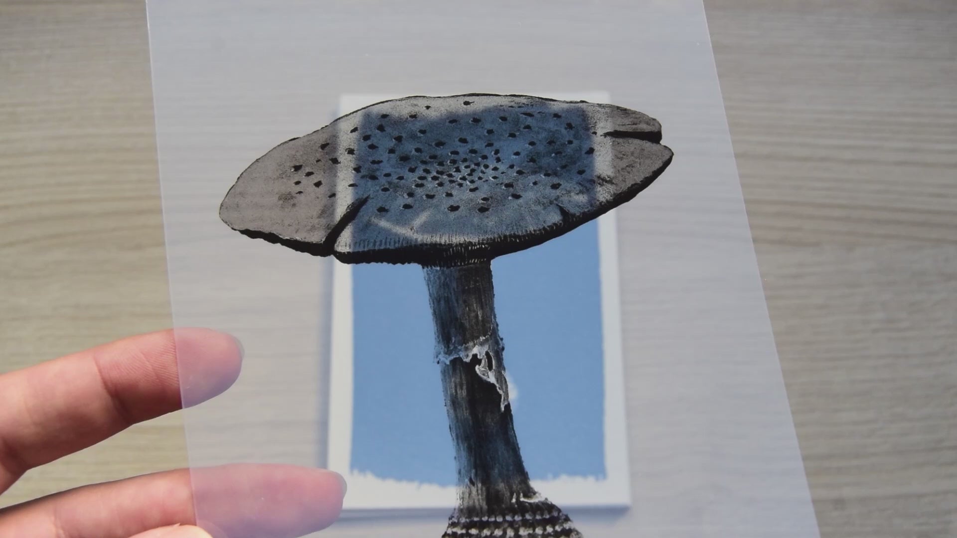 mushrooms cyanotype stencils