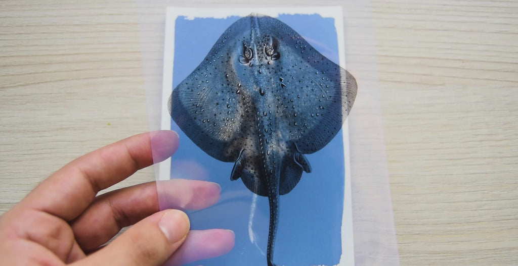 sea animals cyanotype stencils