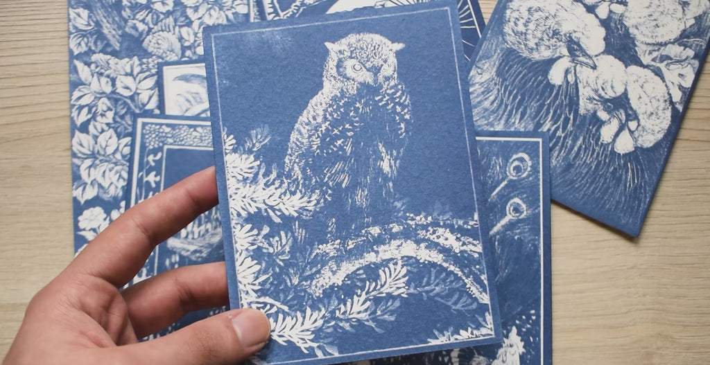 owl cyanotype stencil for cyanotype