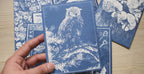 owl cyanotype stencil for cyanotype