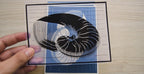Cyanotype stencils of Julie de Graag’s Artwork