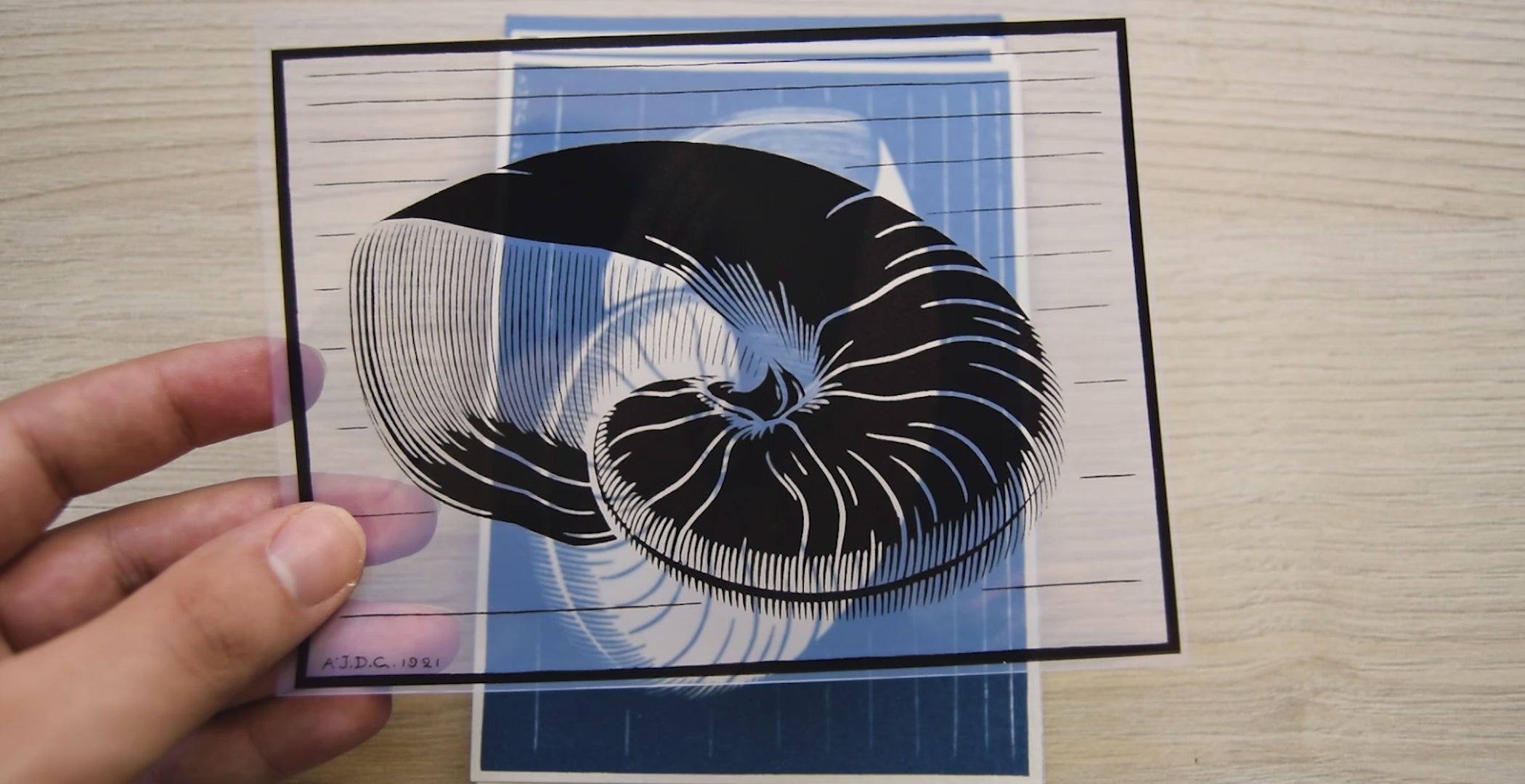 Cyanotype stencils of Julie de Graag’s Artwork