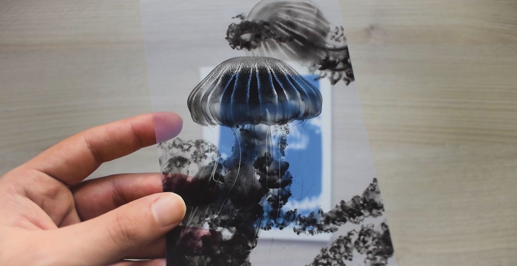 Jellyfish cyanotype stencils for solar printing