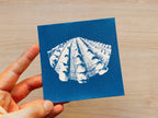 realistic sheel cyanotype print made with negatives