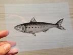 sardine cyanotype stencil