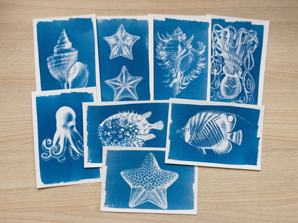sea animals cyanotype prints