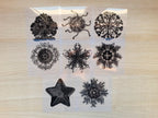 sea creatures cyanotype negatives