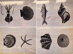 sea creatures cyanotype stencils