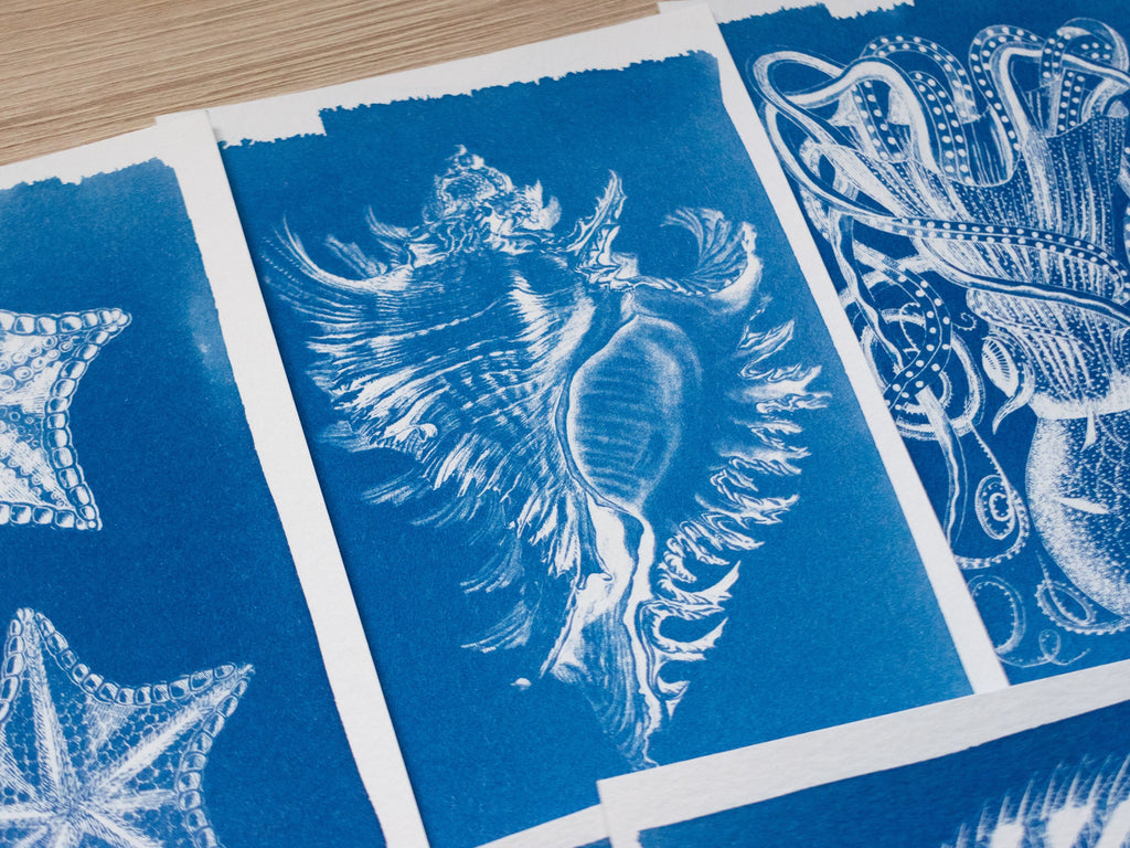 sea creatures design for solar printing