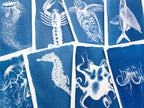 sea horse cyanotype print