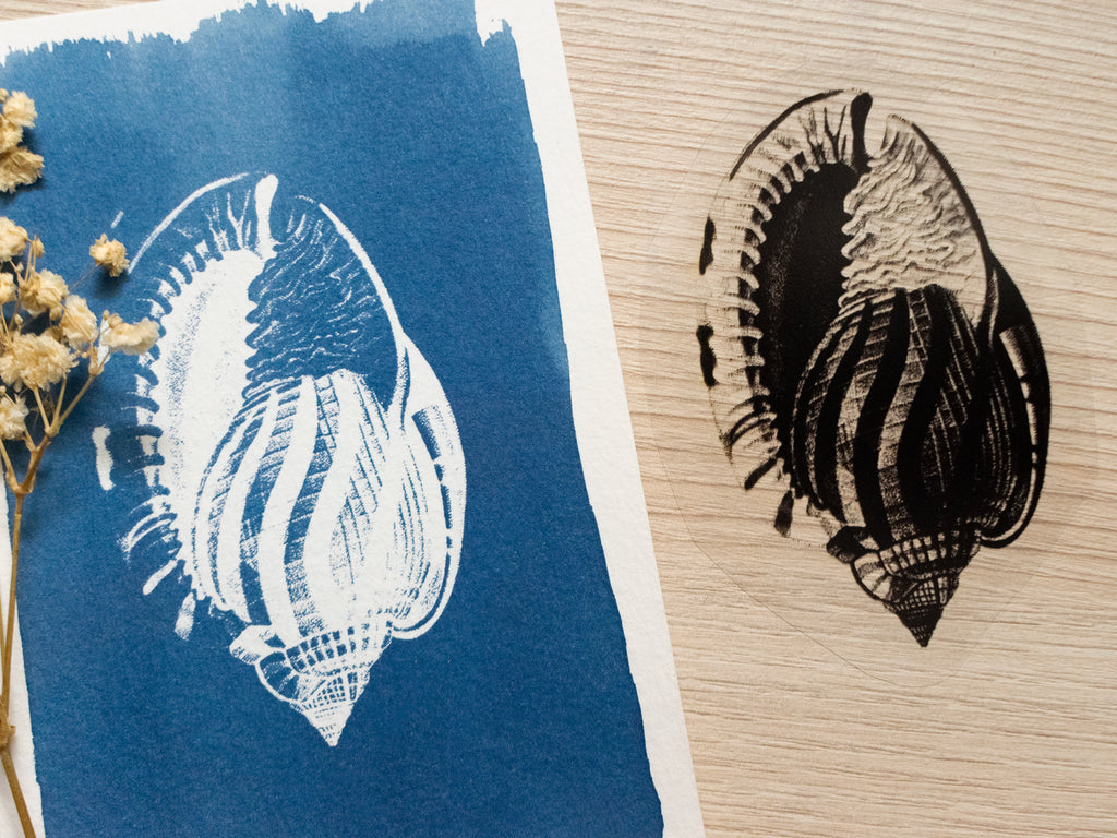 sea shell stencil for solar printing