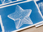 sea star cyanotype print with negatives