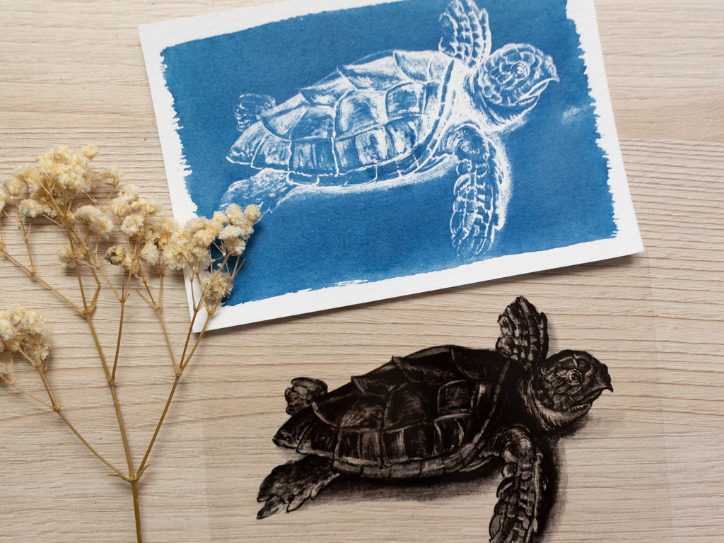 sea turtle cyanotype print
