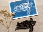sea turtle cyanotype print