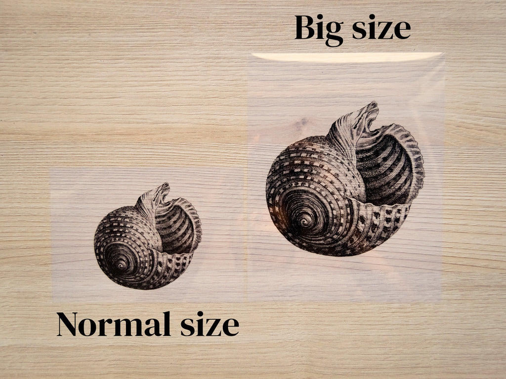 shell big cyanotype stencils 