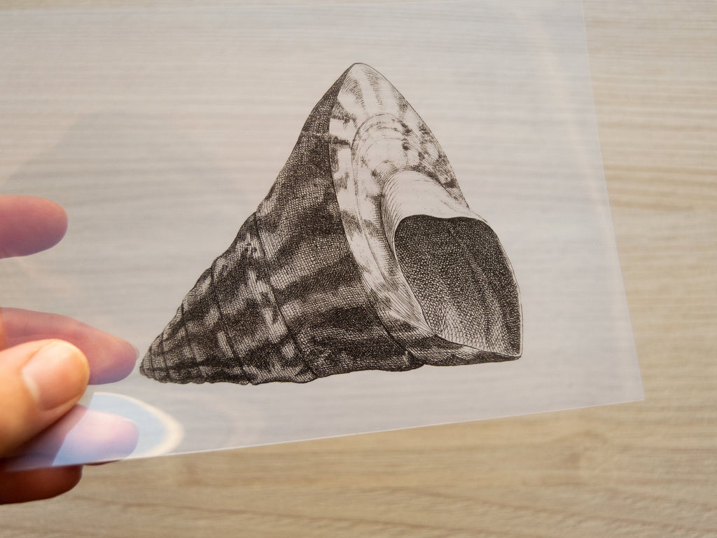 shell stencils for solar printing