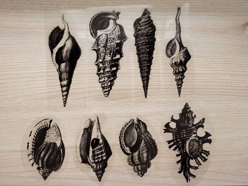 shells stencils for solar printing