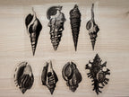 shells stencils for solar printing
