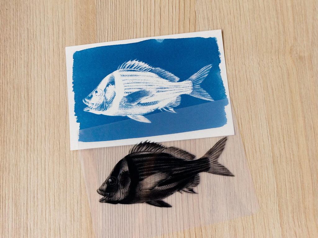 solar printing art with stencils