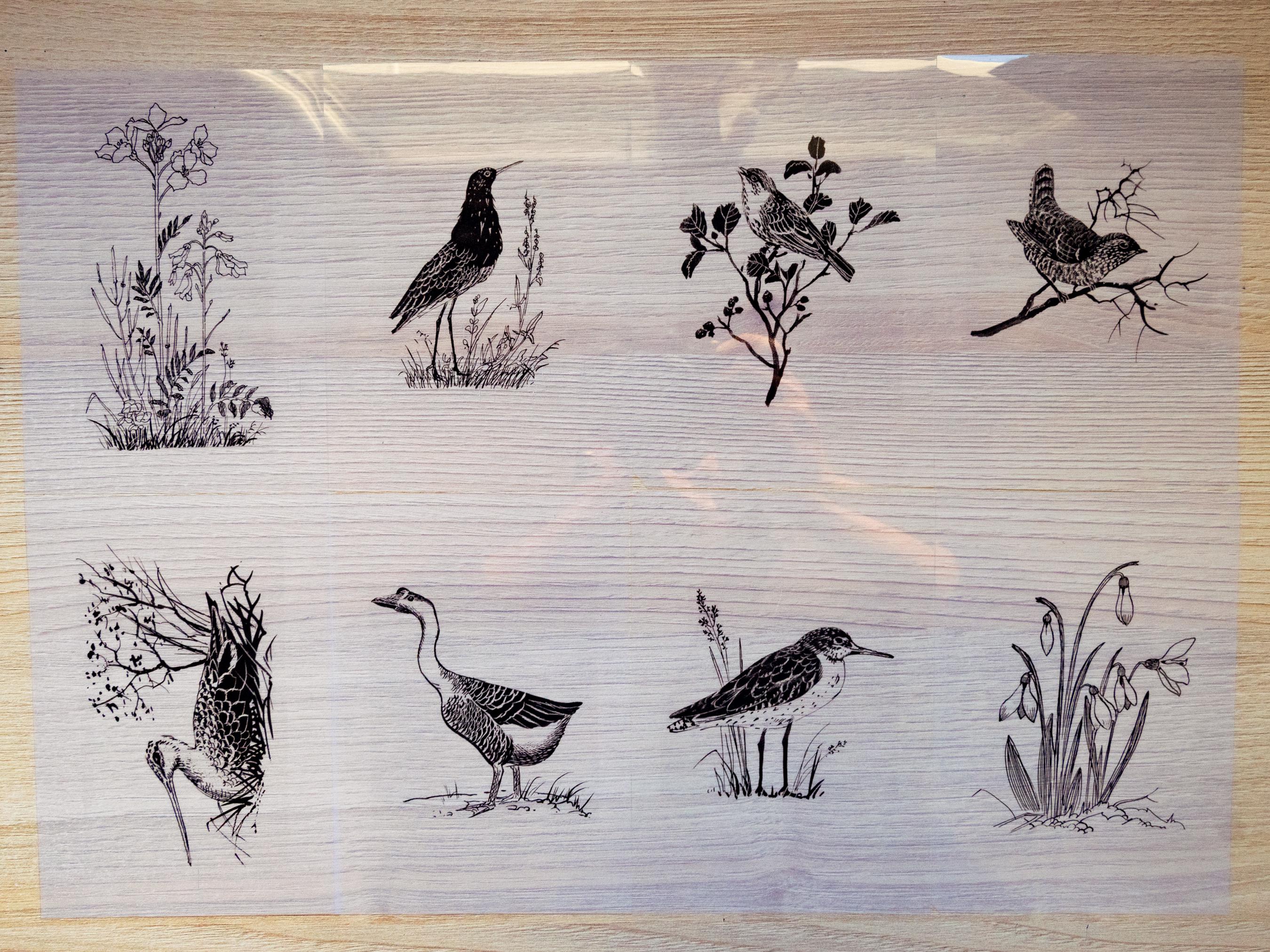 solar printing birds stencils