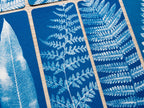 solar printing bookmarks stencils