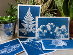 solar printing kit easy to use