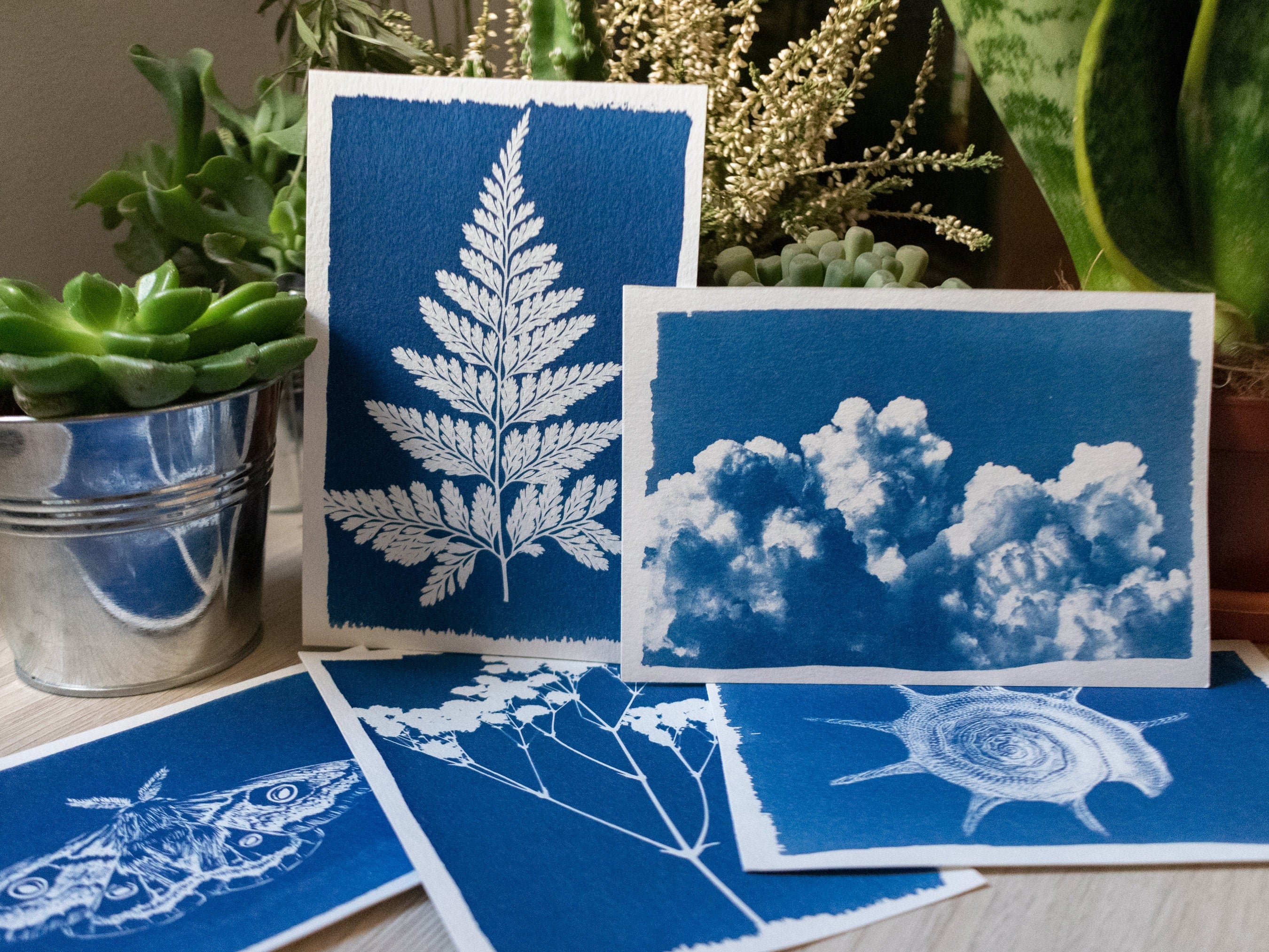 solar printing kit easy to use