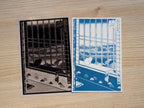 solar printing negatives for cyanotype