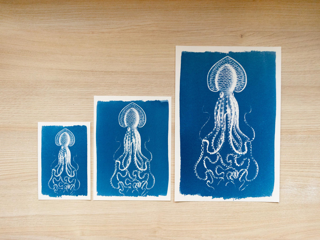 squid cyanotype print made with negatives