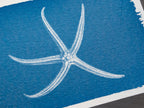 starfish cyanotype print