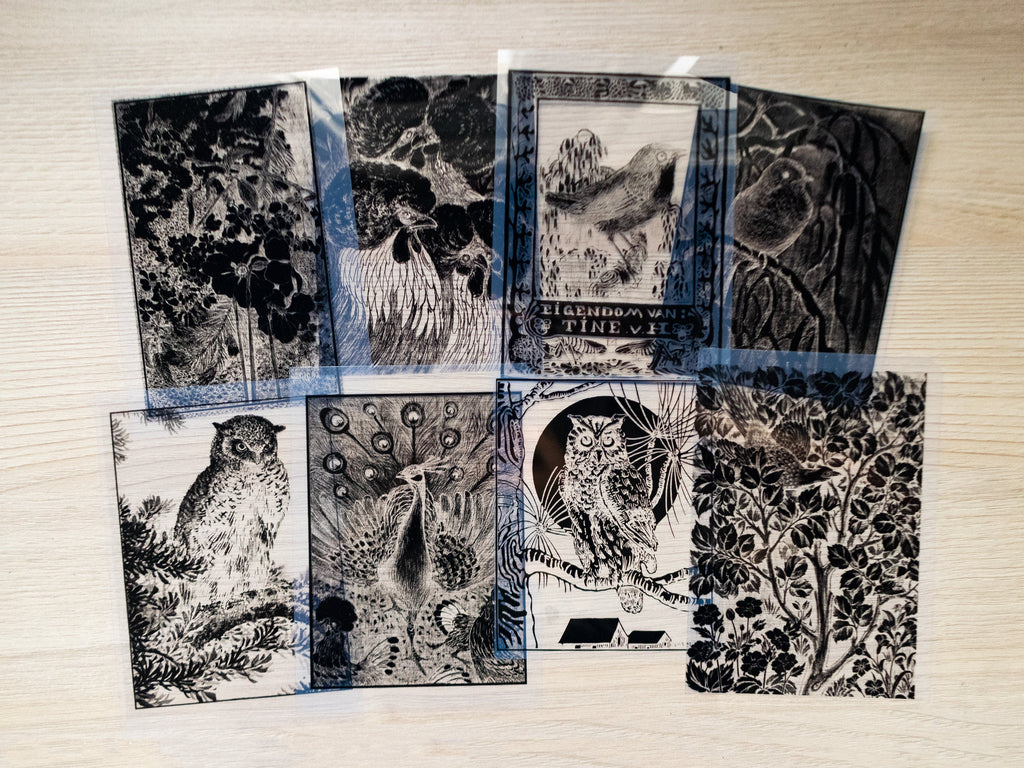 stencils for cyanotype printing