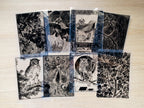 stencils for cyanotype printing