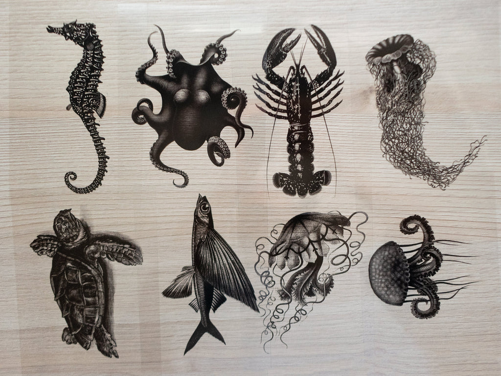 stencils for solar printing art