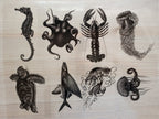 stencils for solar printing art