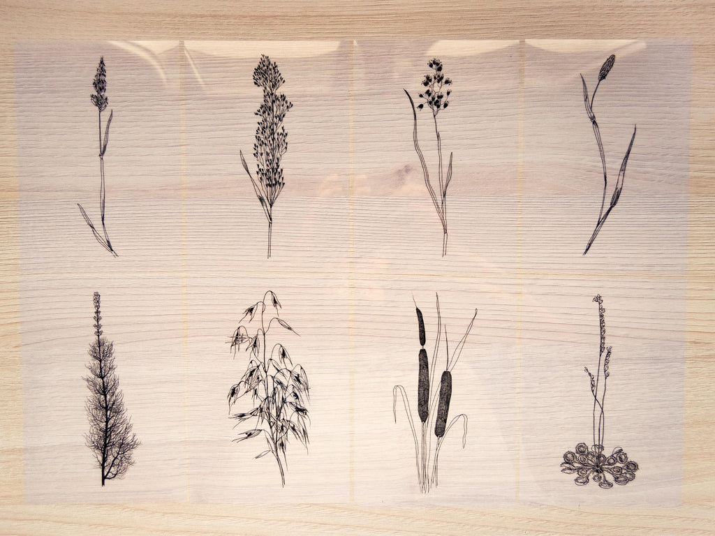 stencils for solar printing crafts