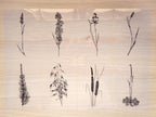 stencils for solar printing crafts